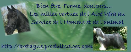 Les Mille vertus de l'Aloe Vera
